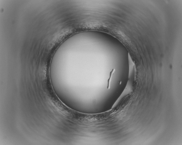 X0000088660640200706081703