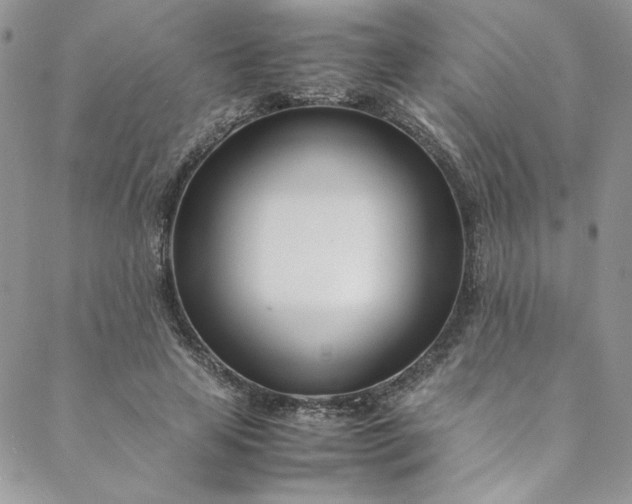 X0000088660641200706081703