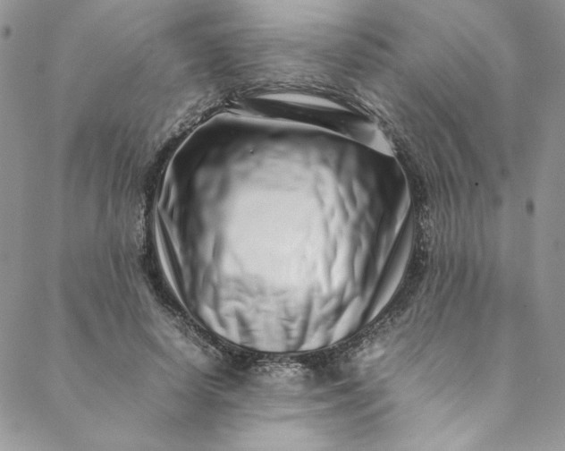 X0000088660642200706081704