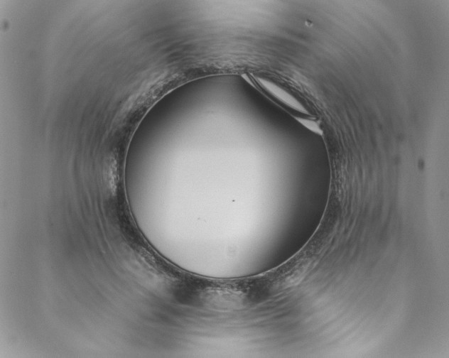 X0000088660644200706081704