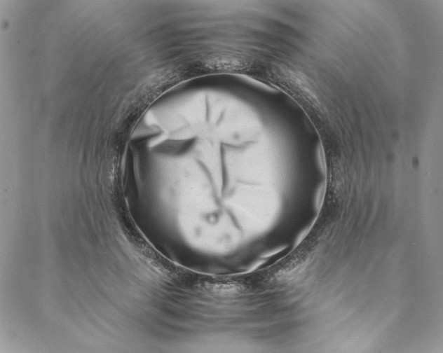 X0000088660645200706081704