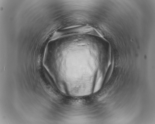 X0000088660646200706081704