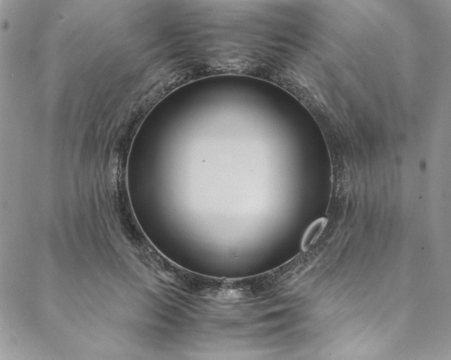 X0000088660647200706081704