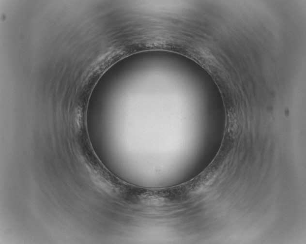 X0000088660648200706081704