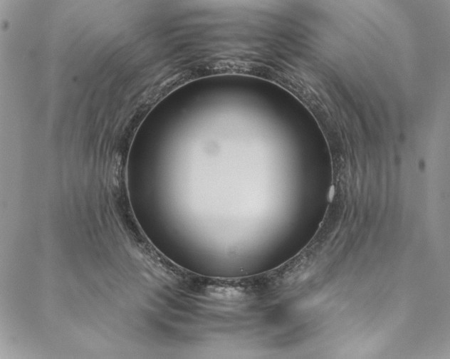 X0000088660649200706081704