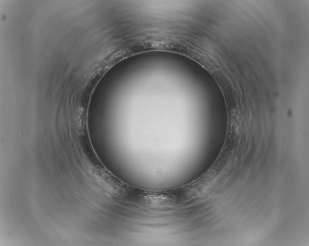 X0000088660650200706081704