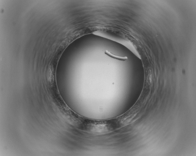 X0000088660651200706081704