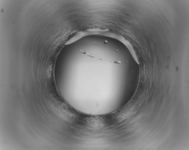 X0000088660652200706081704