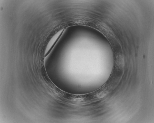 X0000088660653200706081704