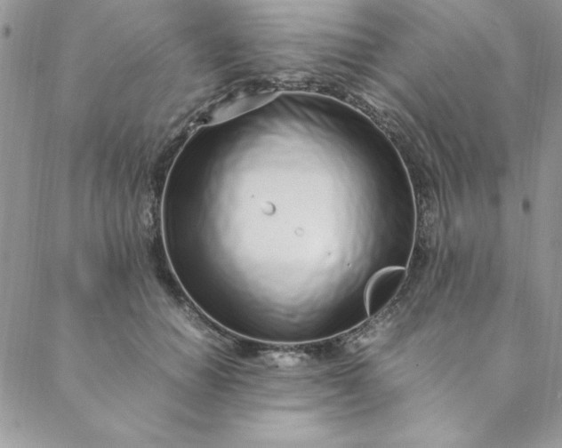 X0000088660654200706081704