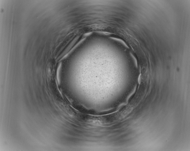 X0000088660655200706081704