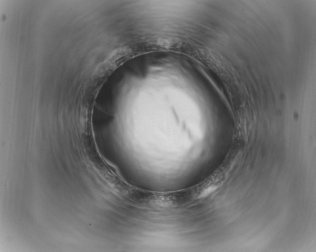 X0000088660656200706081704