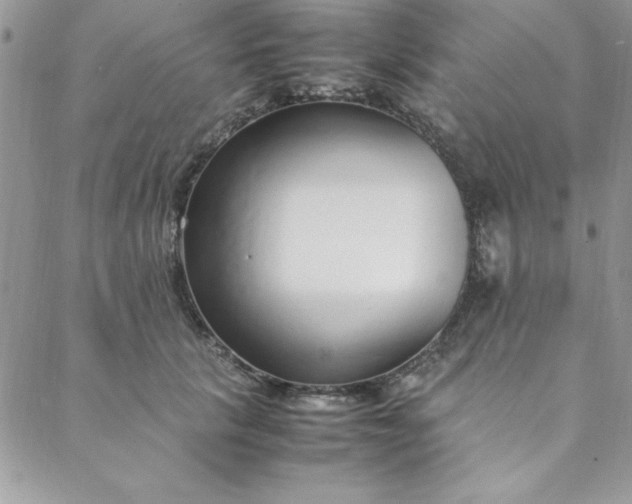 X0000088660657200706081704