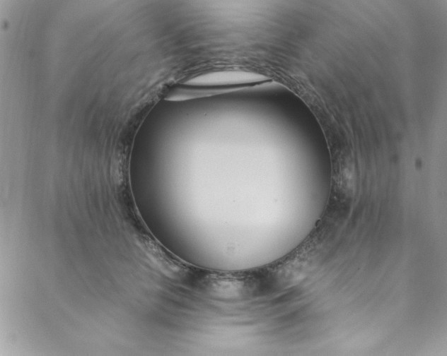 X0000088660658200706081704