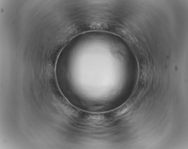 X0000088660659200706081704