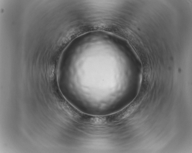 X0000088660660200706081704