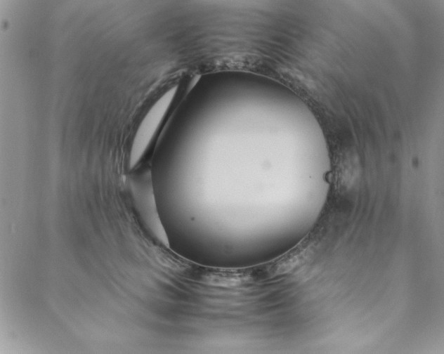 X0000088660661200706081704