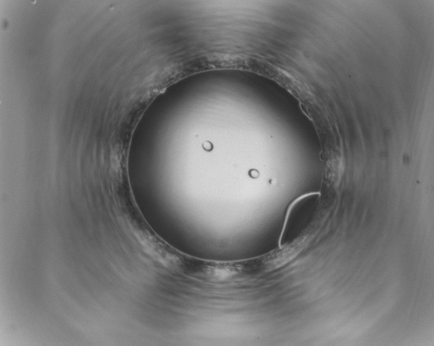 X0000088660662200706081704