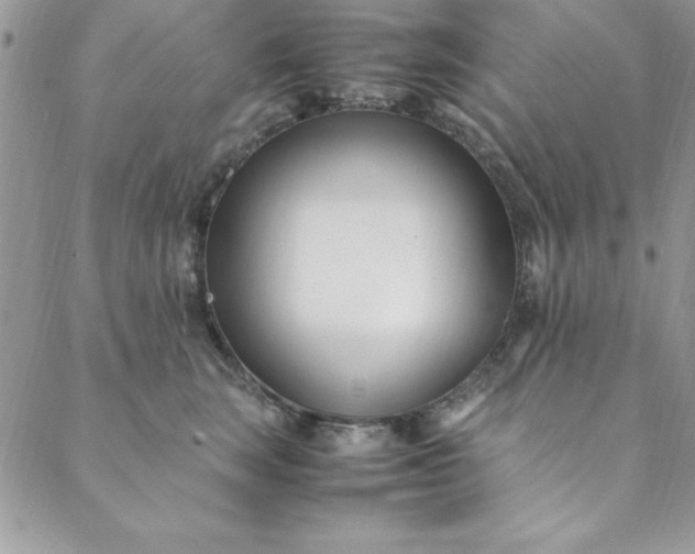 X0000088660663200706081704