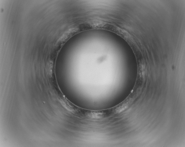 X0000088660664200706081704