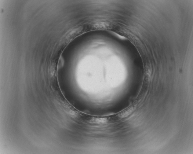 X0000088660665200706081704