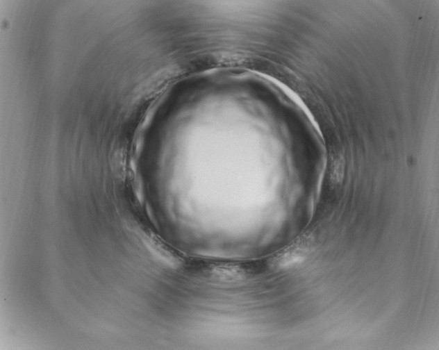 X0000088660666200706081704