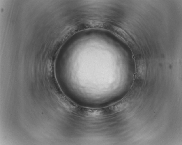 X0000088660667200706081704