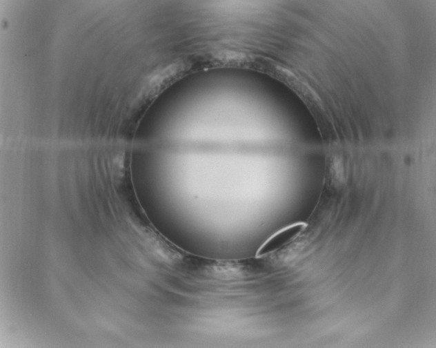 X0000088660668200706081704