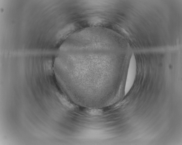 X0000088660670200706081704