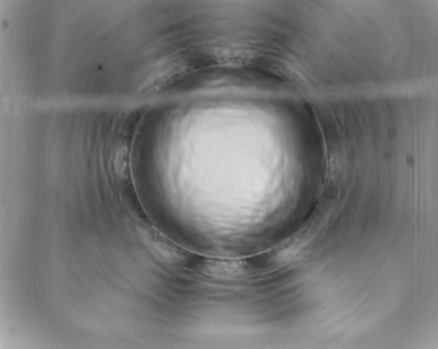 X0000088660671200706081704