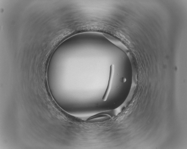 X0000088660673200706081703