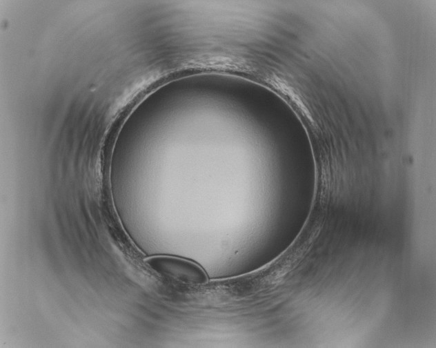 X0000088660674200706081703