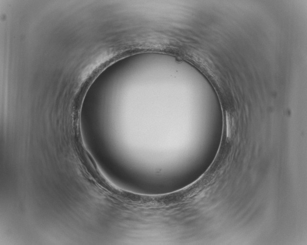 X0000088660675200706081703