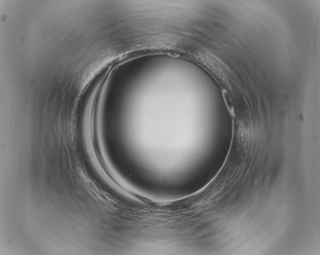 X0000088660676200706081703