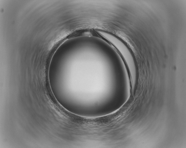 X0000088660677200706081703