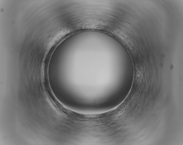 X0000088660678200706081703