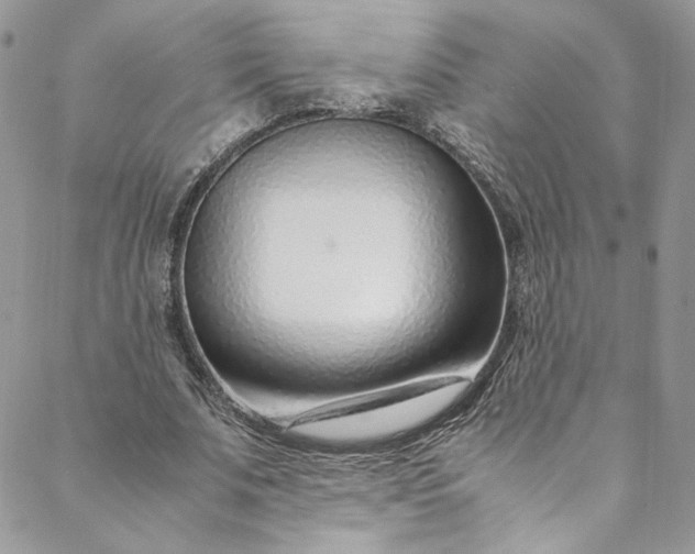 X0000088660679200706081703