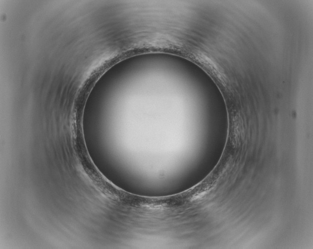 X0000088660680200706081703