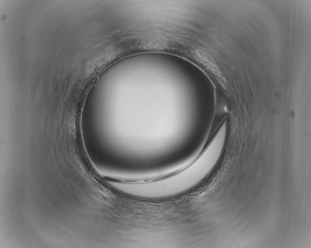 X0000088660681200706081703