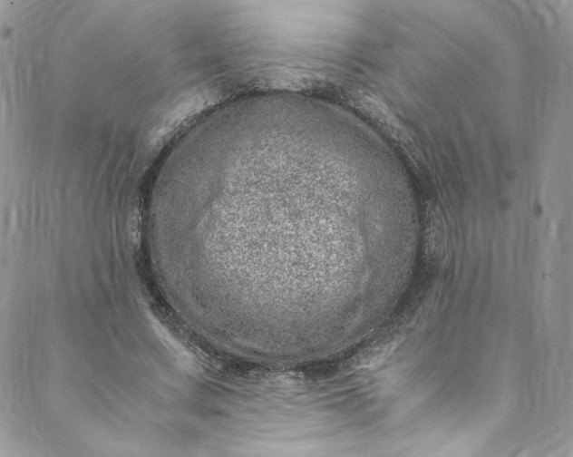 X0000088660683200706081703