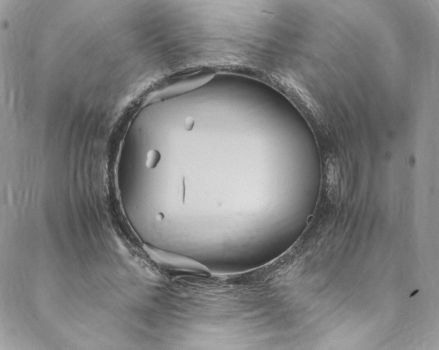 X0000088660684200706081703