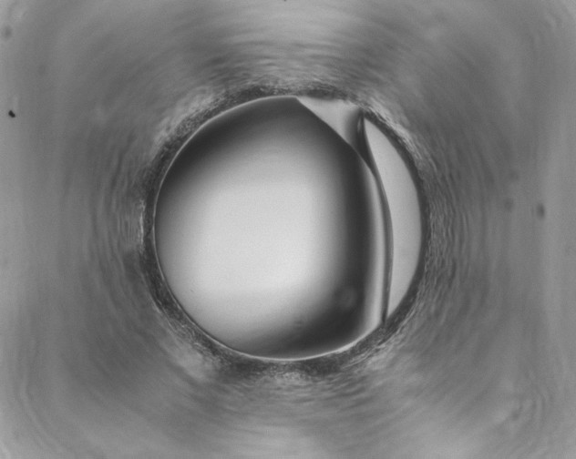 X0000088660685200706081703