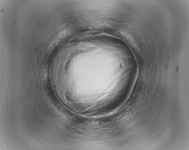 X0000088660687200706081703