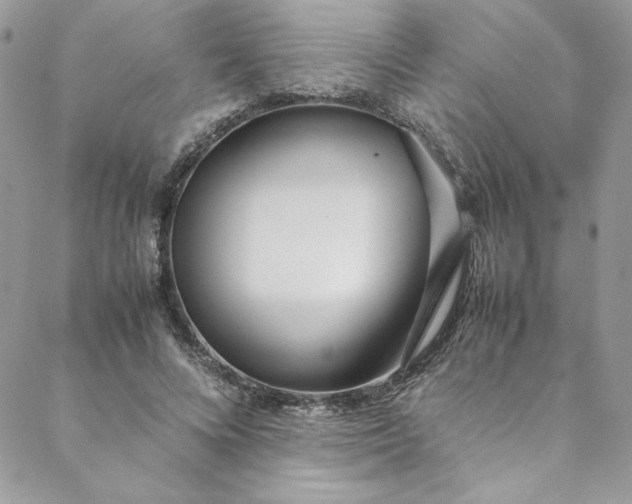 X0000088660688200706081703