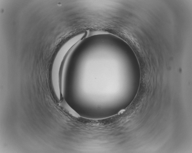 X0000088660689200706081703