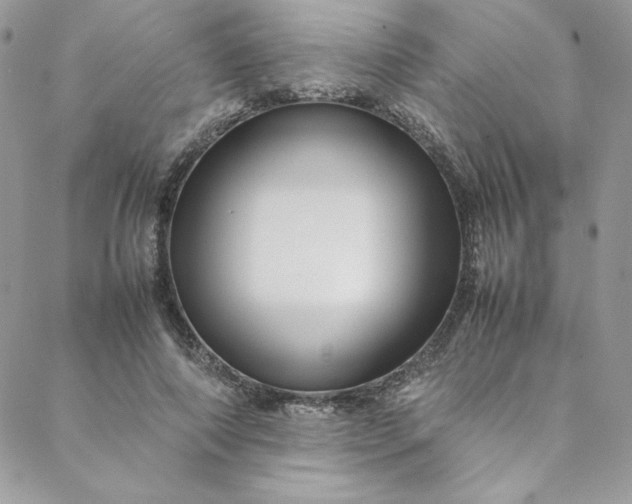 X0000088660690200706081703