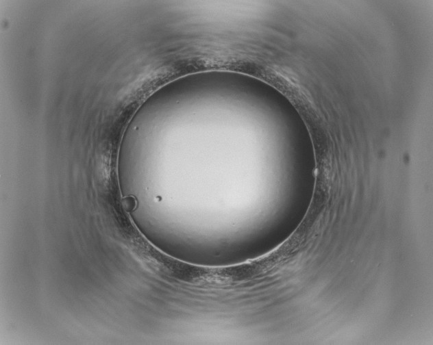 X0000088660691200706081703