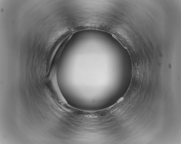 X0000088660692200706081703