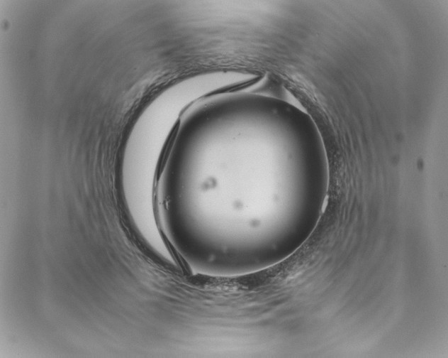 X0000088660693200706081703