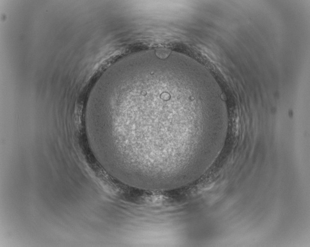 X0000088660695200706081703